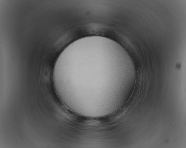 X0000089460266200707131955