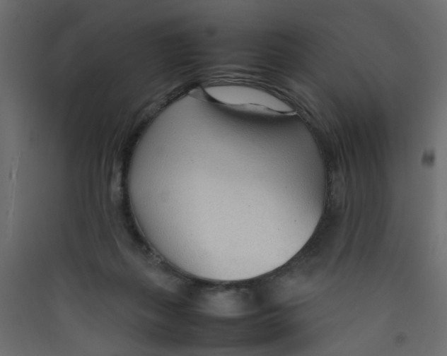 X0000089460267200707131955