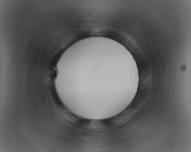 X0000089460270200707131955