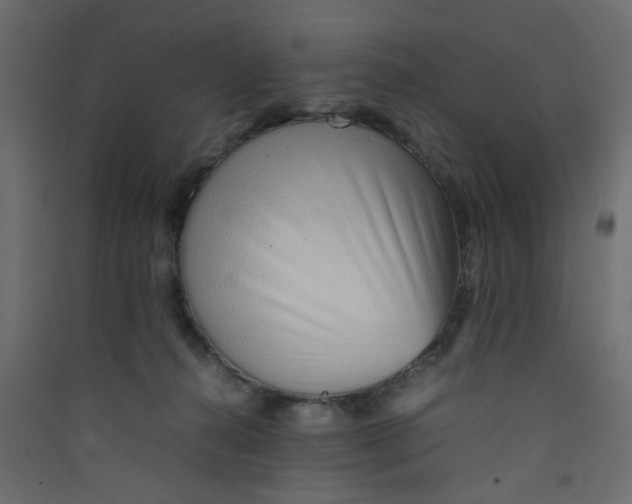 X0000089460272200707131955