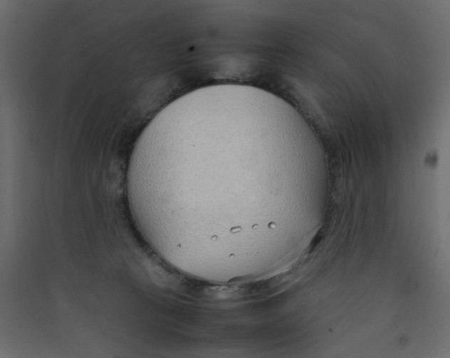 X0000089460273200707131955