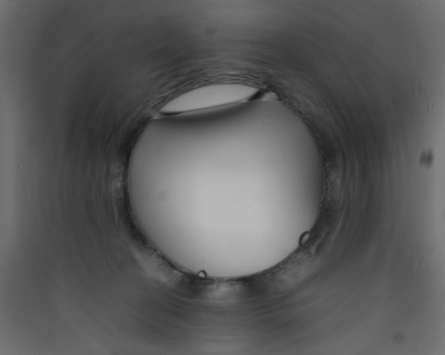 X0000089460274200707131955