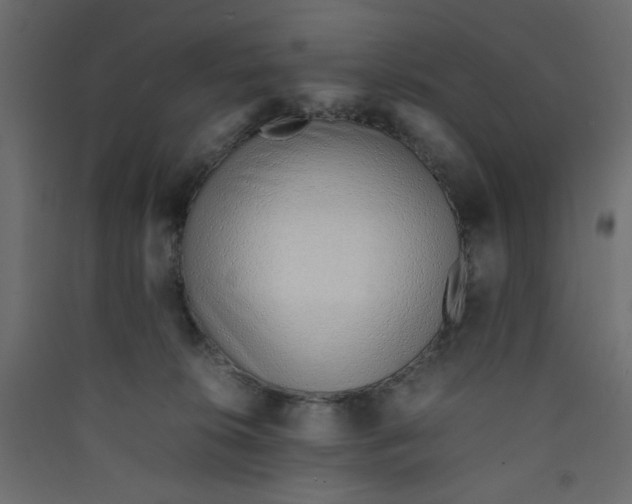 X0000089460276200707131955