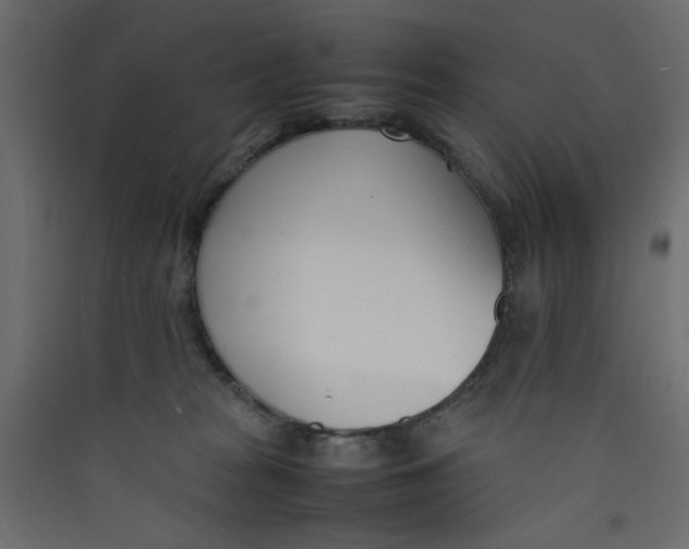 X0000089460277200707131955