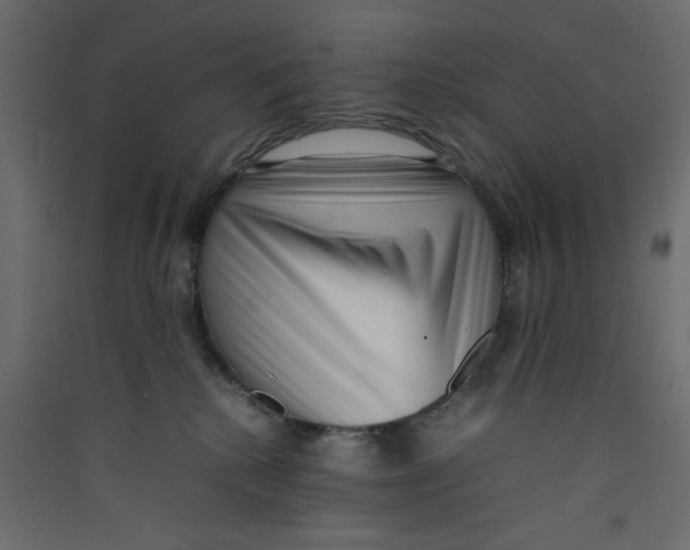 X0000089460280200707131955