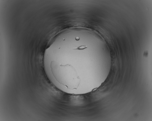 X0000089460281200707131955