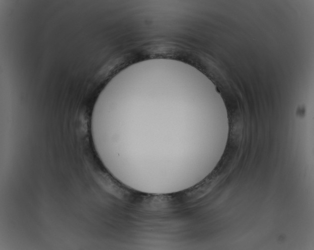 X0000089460282200707131955