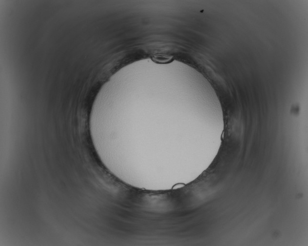 X0000089460283200707131955