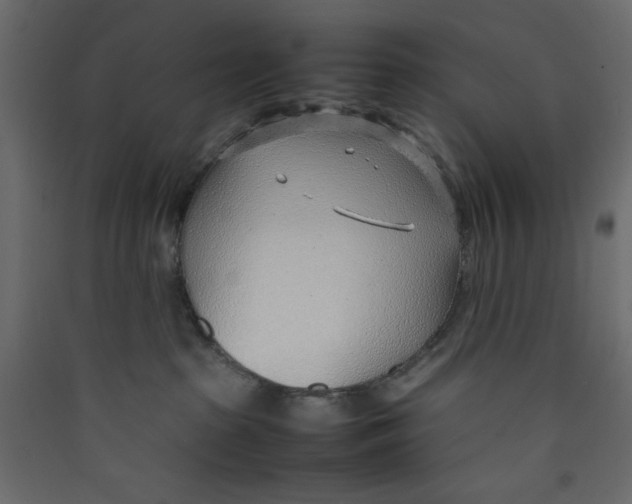 X0000089460285200707131955