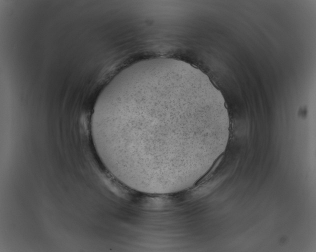 X0000089460286200707131955