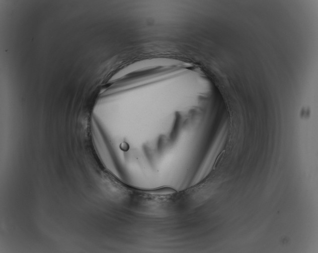 X0000089460288200707131955