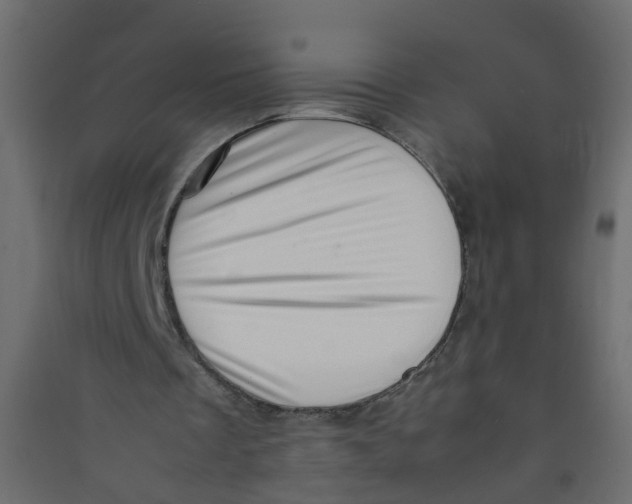 X0000089460289200707131955