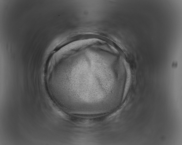 X0000089460293200707131955