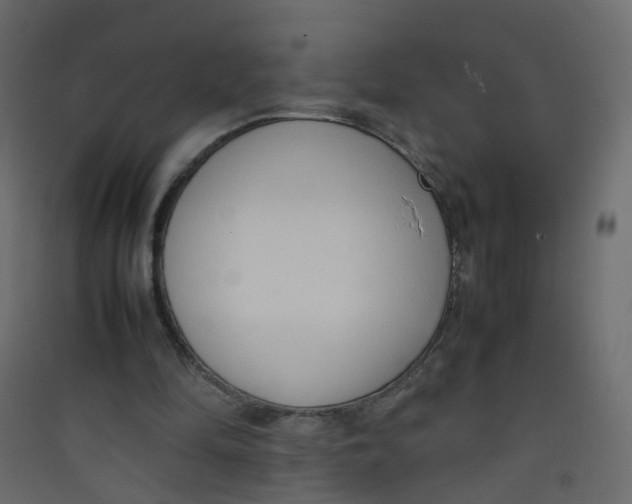 X0000089460294200707131955