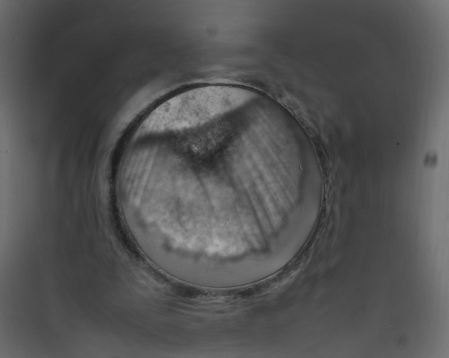 X0000089460295200707131954