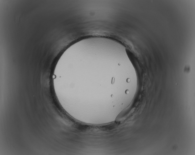 X0000089460299200707131954