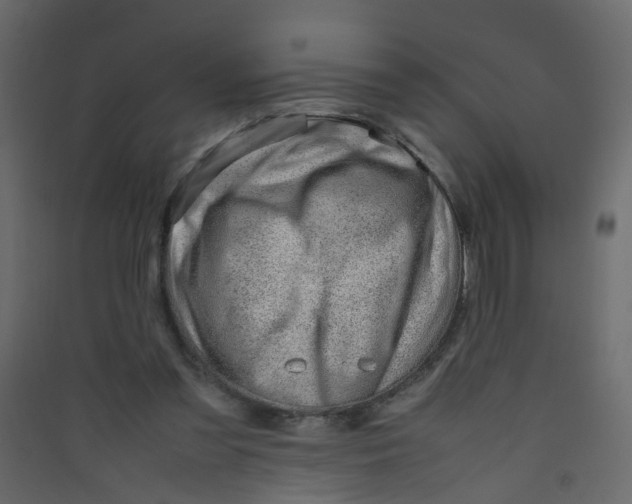 X0000089460301200707131954