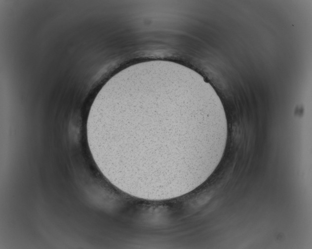 X0000089460304200707131954