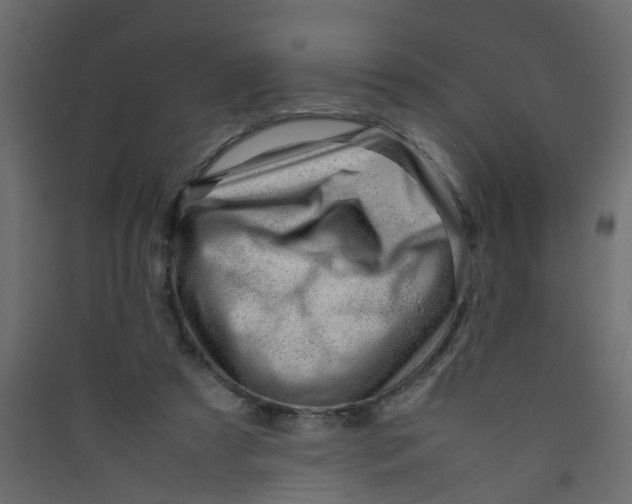 X0000089460305200707131954