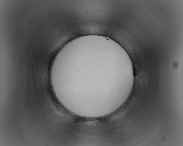 X0000089460306200707131954