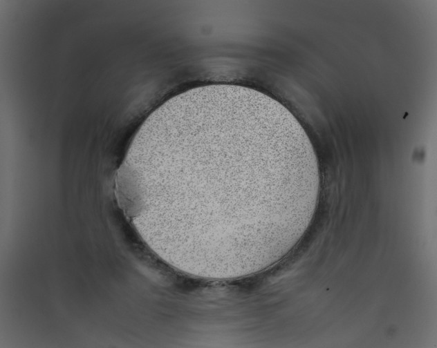 X0000089460307200707131954