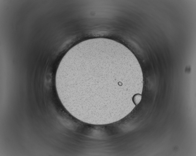 X0000089460308200707131954