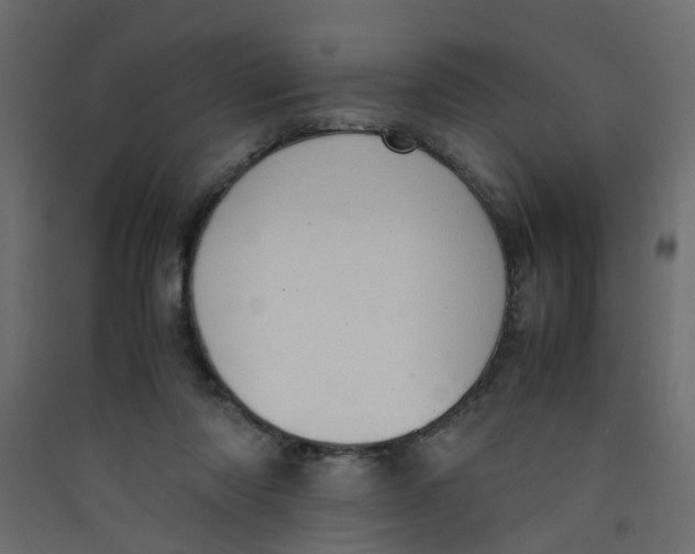 X0000089460310200707131954