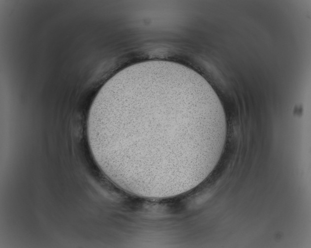 X0000089460311200707131954