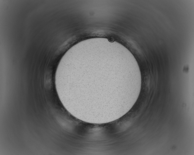 X0000089460312200707131954