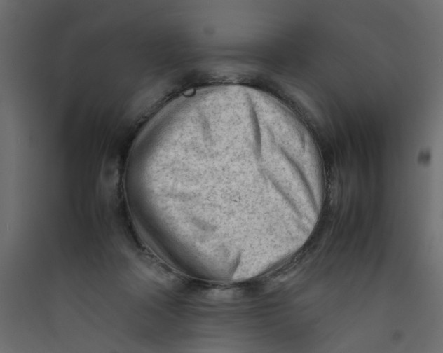 X0000089460314200707131954