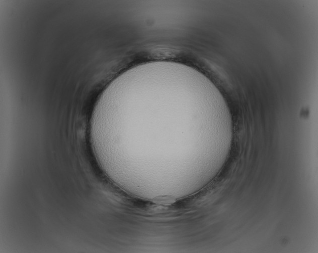 X0000089460315200707131954