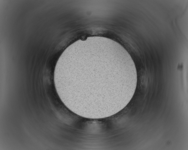 X0000089460316200707131954