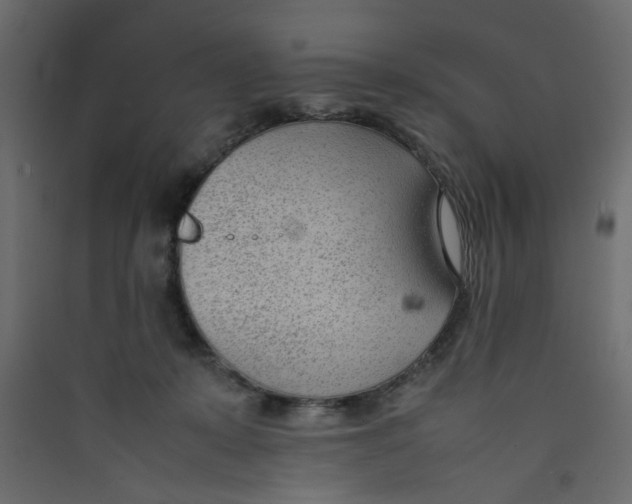 X0000089460319200707131954