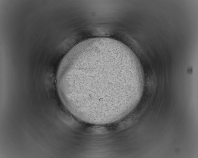 X0000089460322200707131954