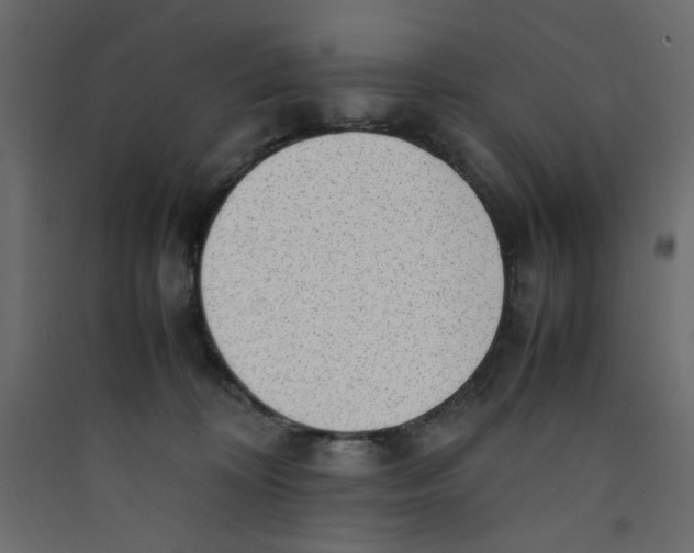 X0000089460324200707131954