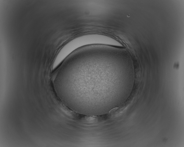 X0000089460325200707131954