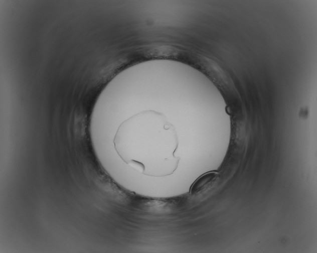 X0000089460326200707131954