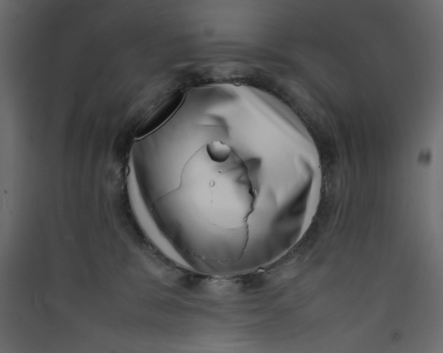 X0000089460327200707131954