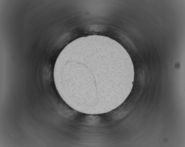 X0000089460328200707131954