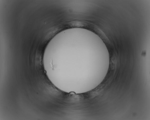 X0000089460330200707131954