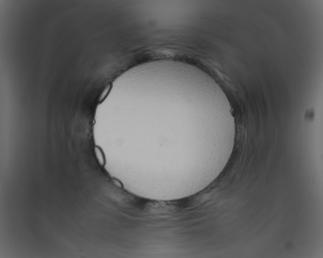 X0000089460331200707131954