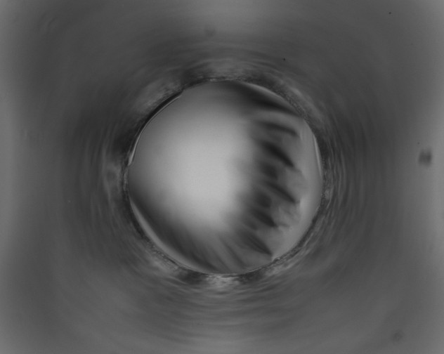 X0000089460333200707131954