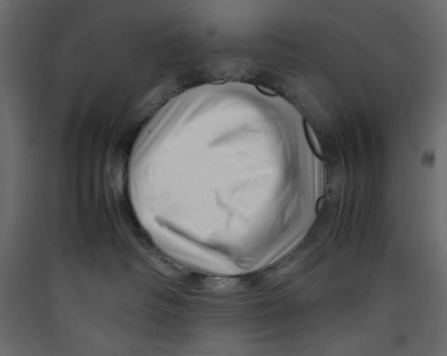 X0000089460334200707131954