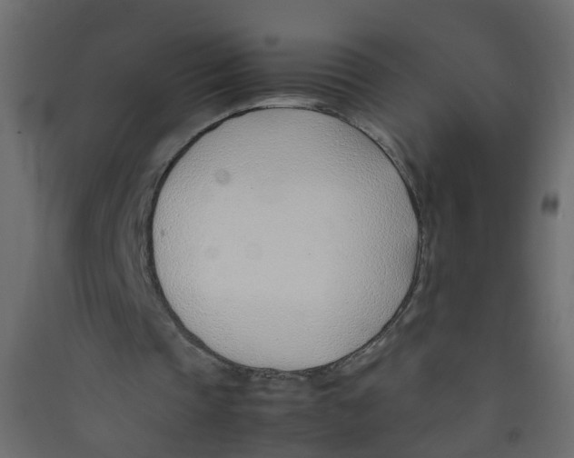 X0000089460337200707131953