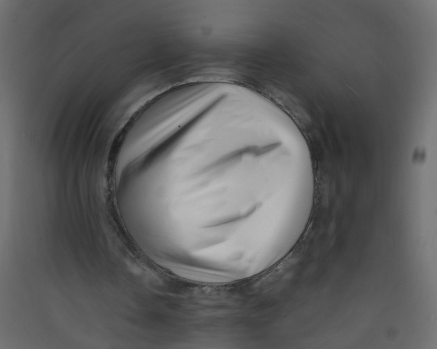 X0000089460338200707131953