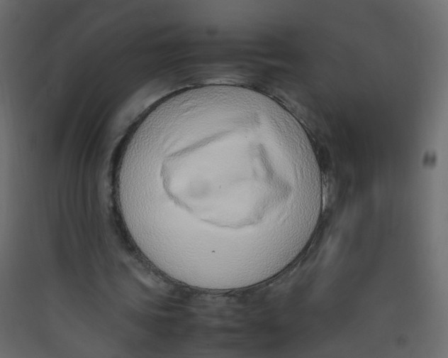 X0000089460339200707131953