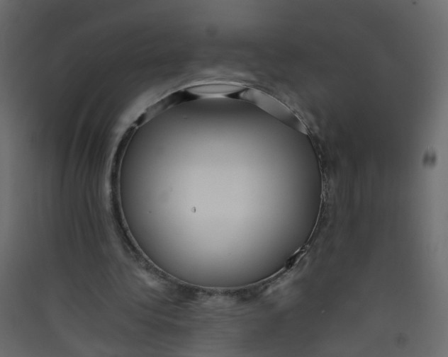 X0000089460340200707131953