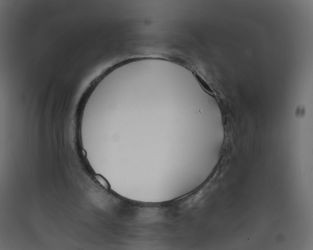 X0000089460342200707131953