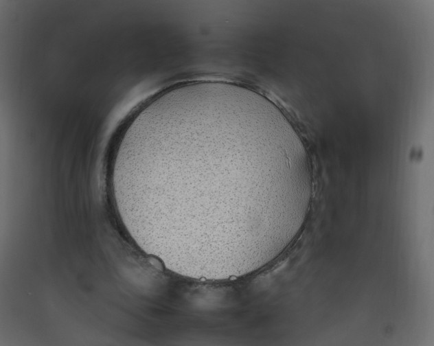 X0000089460343200707131953