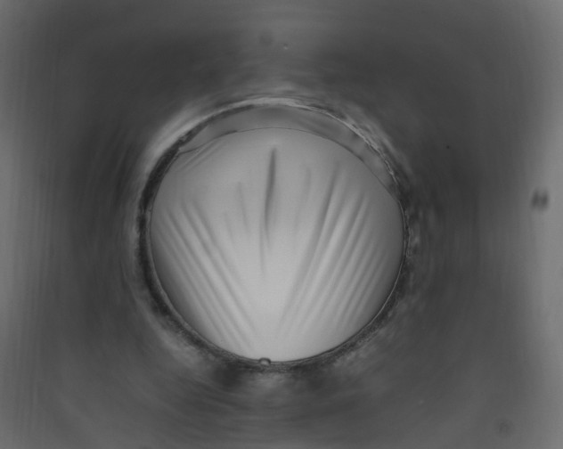 X0000089460344200707131953